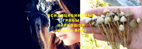 трава Сураж