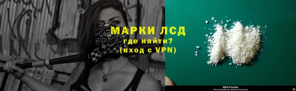сатива Сатка