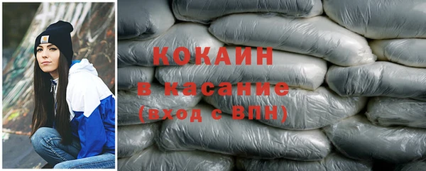 сатива Сатка