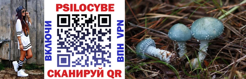 Псилоцибиновые грибы Psilocybe  даркнет сайт  KRAKEN онион  Сердобск 