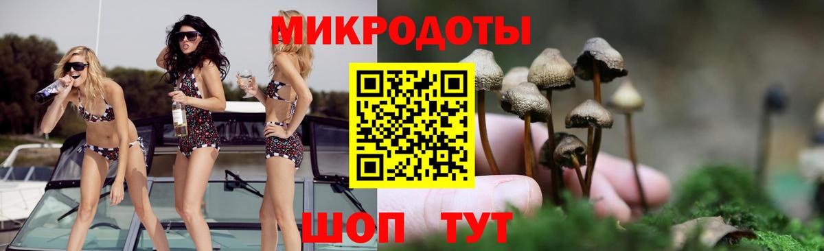 Галлюциногенные грибы Psilocybe Сердобск